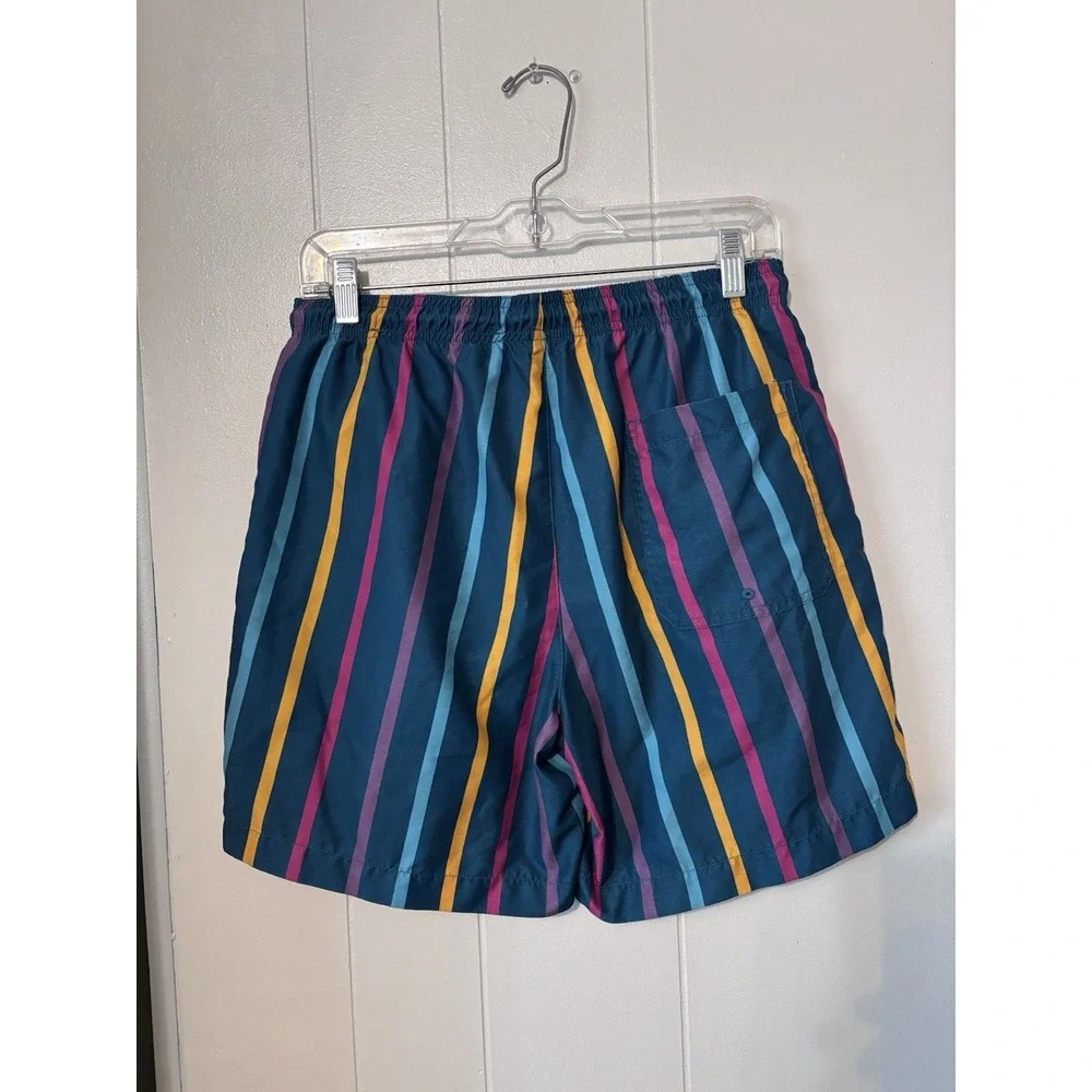 Pacsun‎ Men's Swim Shorts Size Small Retro Stripe 6